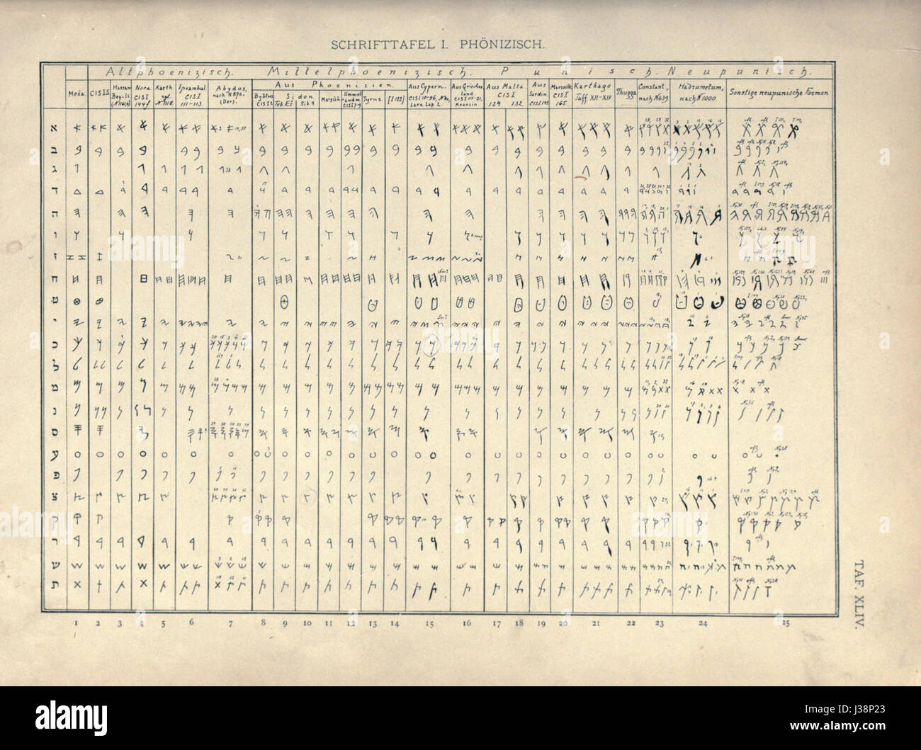 Vergleich des phönizischen Alphabets, Mark Lidzbarski, 1898 Stockfoto