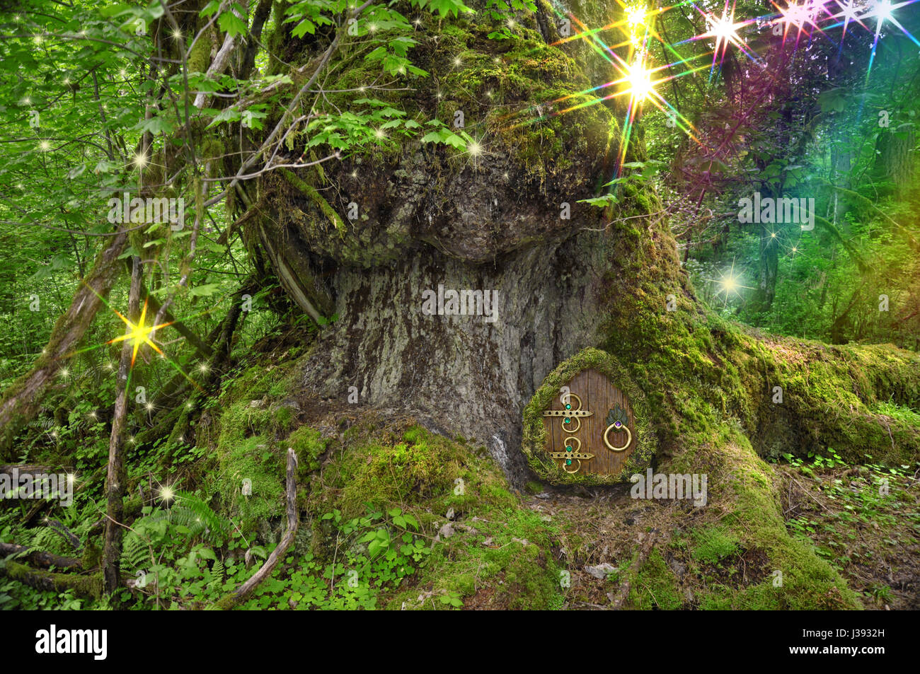 Alter Baum im Wald mit Lichterketten, Tür und Regenbogen Stockfoto