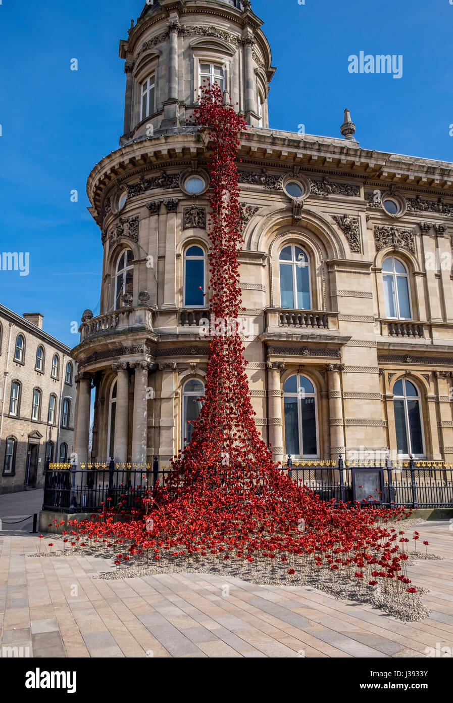 Mohn, fließt aus dem weinenden Fenster im Victoria Quadrat Rumpf Stockfoto