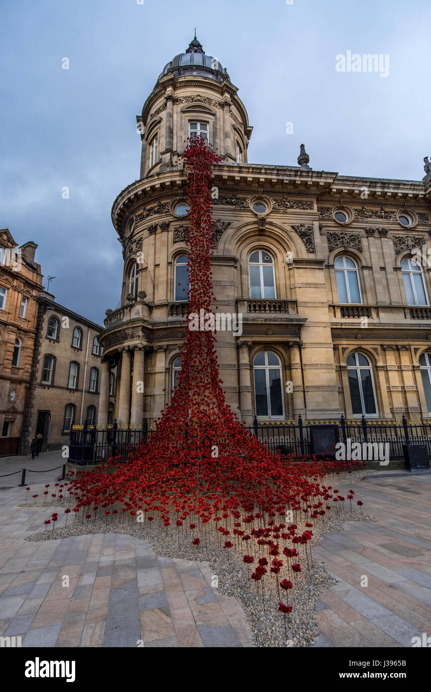 Mohn, fließt aus dem weinenden Fenster im Victoria Quadrat Rumpf Stockfoto