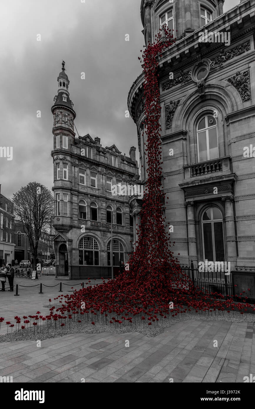 Mohn, fließt aus dem weinenden Fenster im Victoria Quadrat Rumpf Stockfoto
