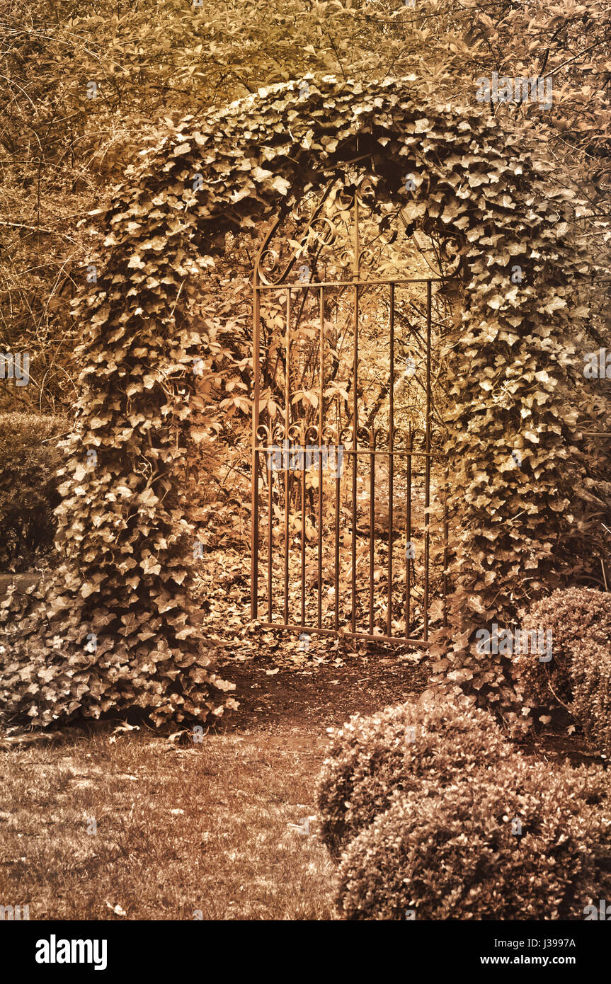 Englischer Garten mit reich verzierten schmiedeeisernen Tor bedeckt mit Efeu in Sepia-Ton-Effekt Stockfoto