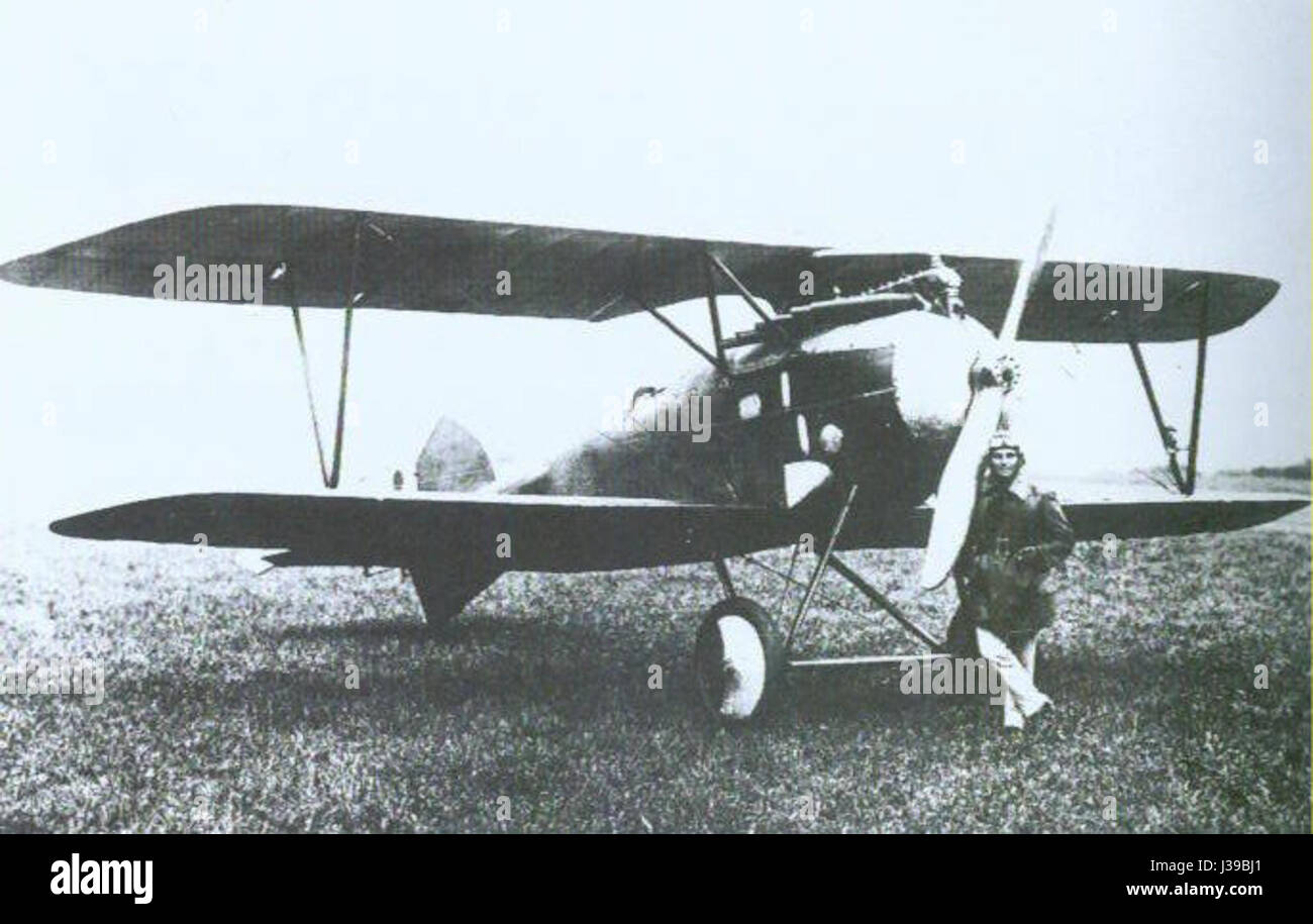 D.iii.253 bezieht sich auf ein bestimmtes Flugzeugmodell oder einen Teil einer Reihe deutscher Flugzeuge, die während des Ersten Weltkriegs eingesetzt wurden. Bekannt für sein unverwechselbares Design und seine Rolle bei militärischen Operationen, trug das Flugzeug zu Beginn des 20. Jahrhunderts zur Luftkriegsführung bei. Stockfoto