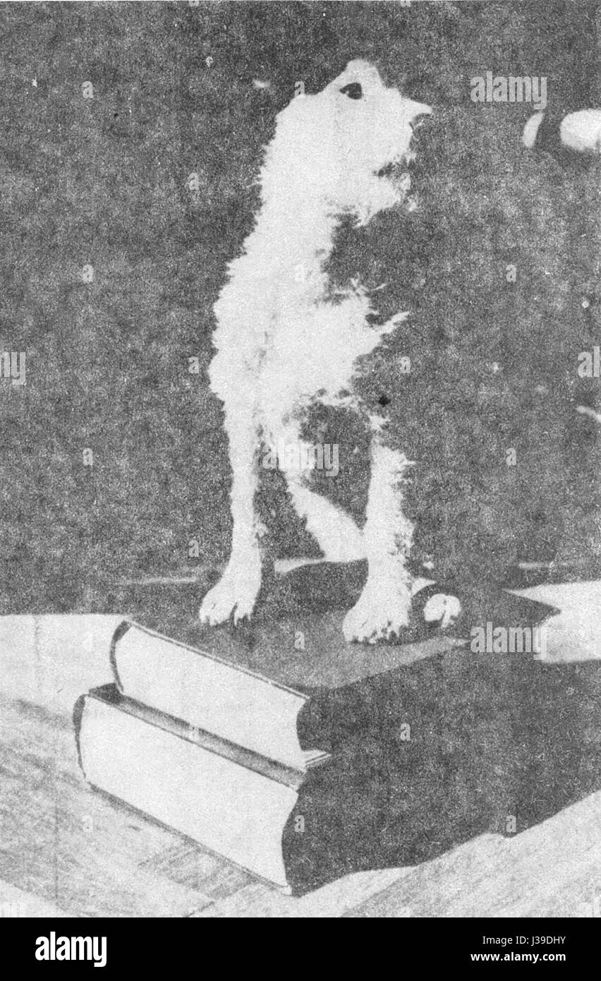 „Dasenka 41“ könnte sich auf ein bestimmtes Ereignis, einen Ort oder ein Objekt beziehen, das mit dem Namen Dasenka verknüpft ist. Für eine vollständige Beschreibung ist jedoch ein zusätzlicher Kontext erforderlich. Stockfoto