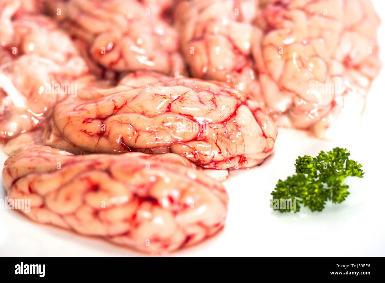Nahaufnahme von einem Gehirn mit Petersilie auf weißem Hintergrund Stockfoto