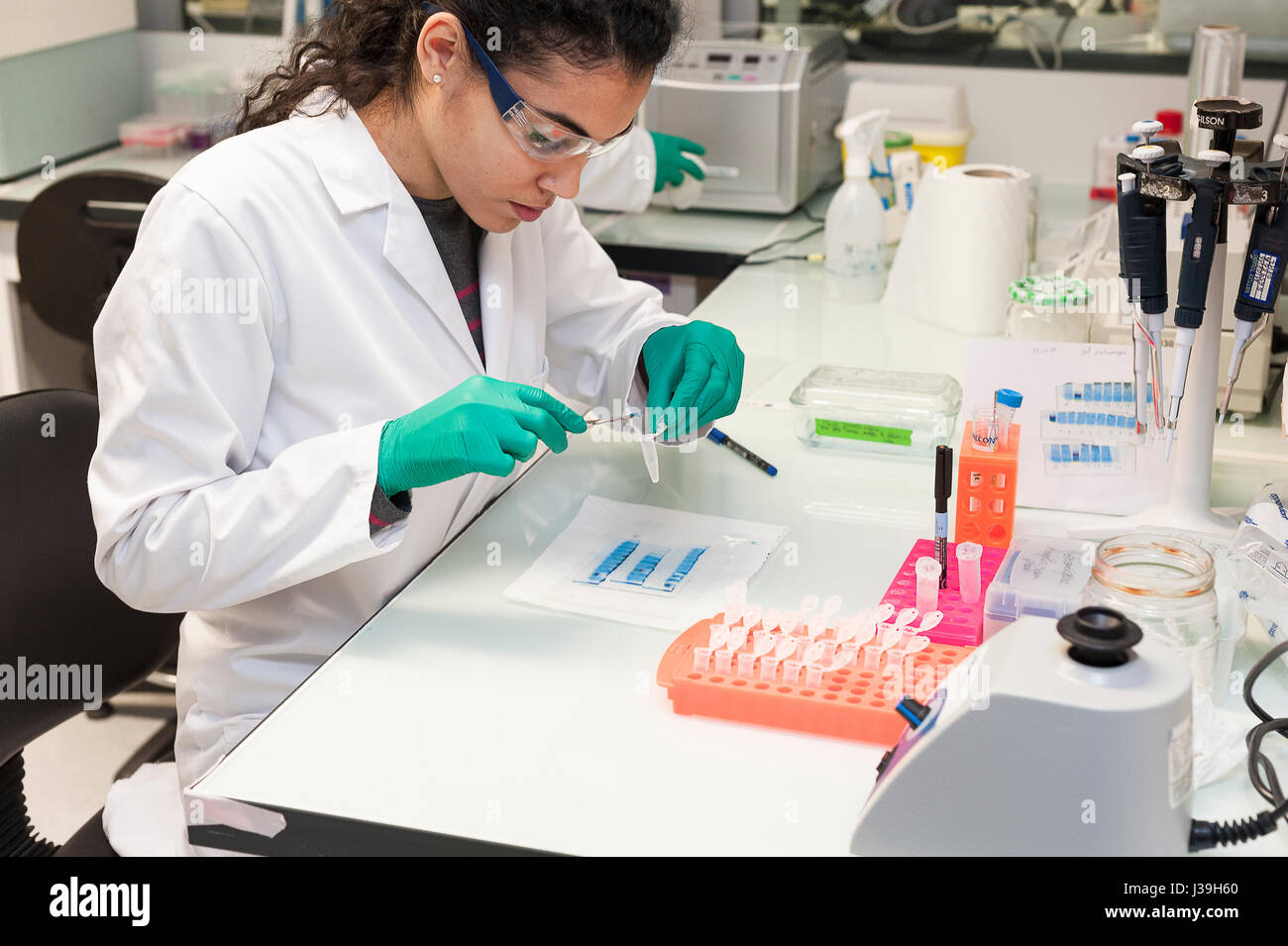 KREBSFORSCHUNG Stockfoto