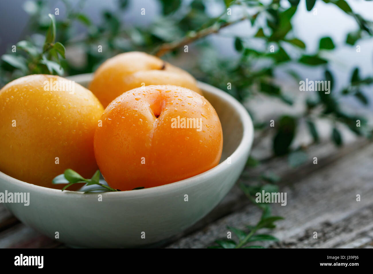 Nahaufnahme der frische gelbe süße Pflaumen in einer Keramikschale auf einem alten Holztisch. Stockfoto