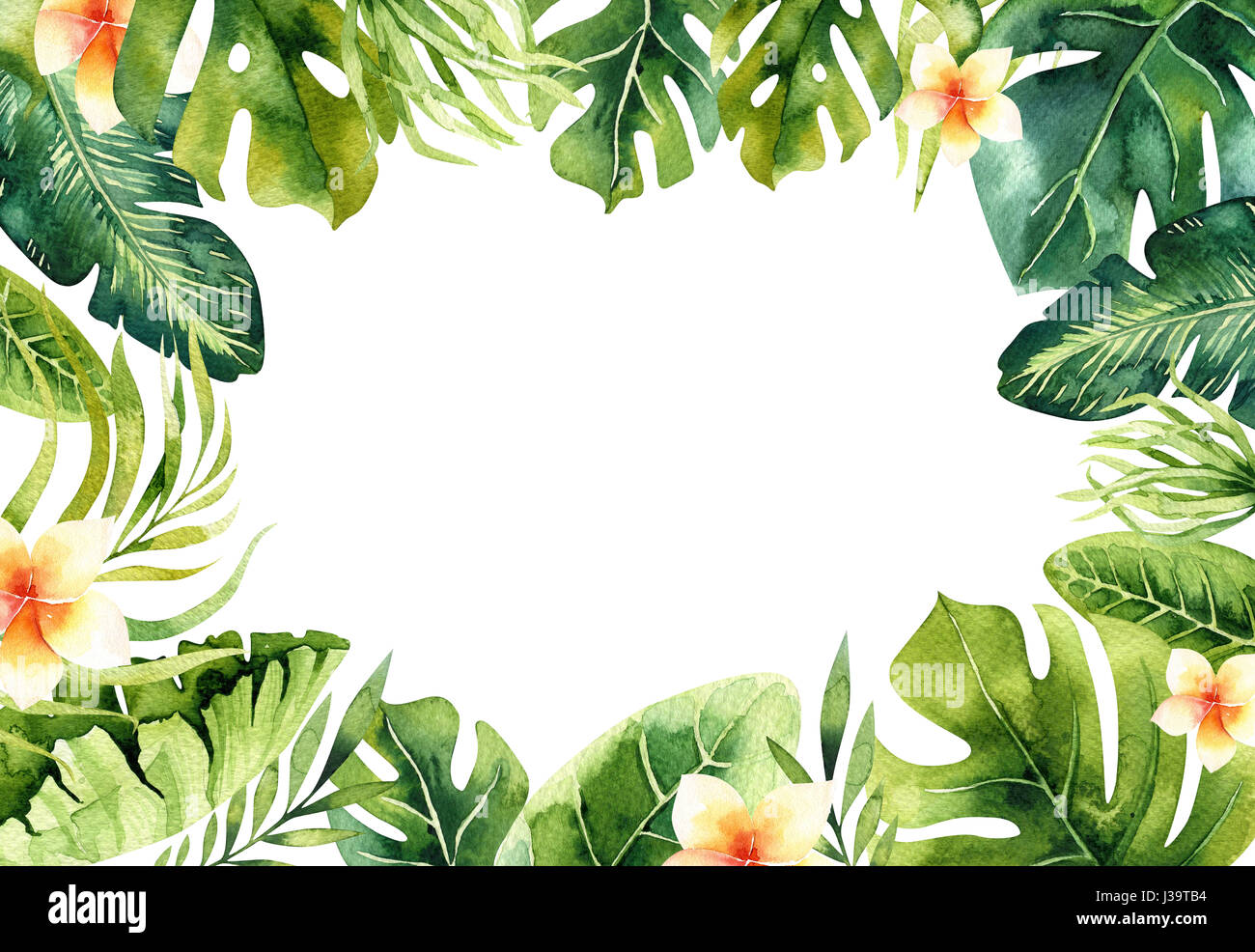 Handgezeichnete Aquarell Tropenpflanzen Hintergrund. Exotische Palmblätter, Dschungel Baum, Brasilien tropische borany Elemente. Perfekt für Stoff-Design. Aloha Kunst. Stockfoto