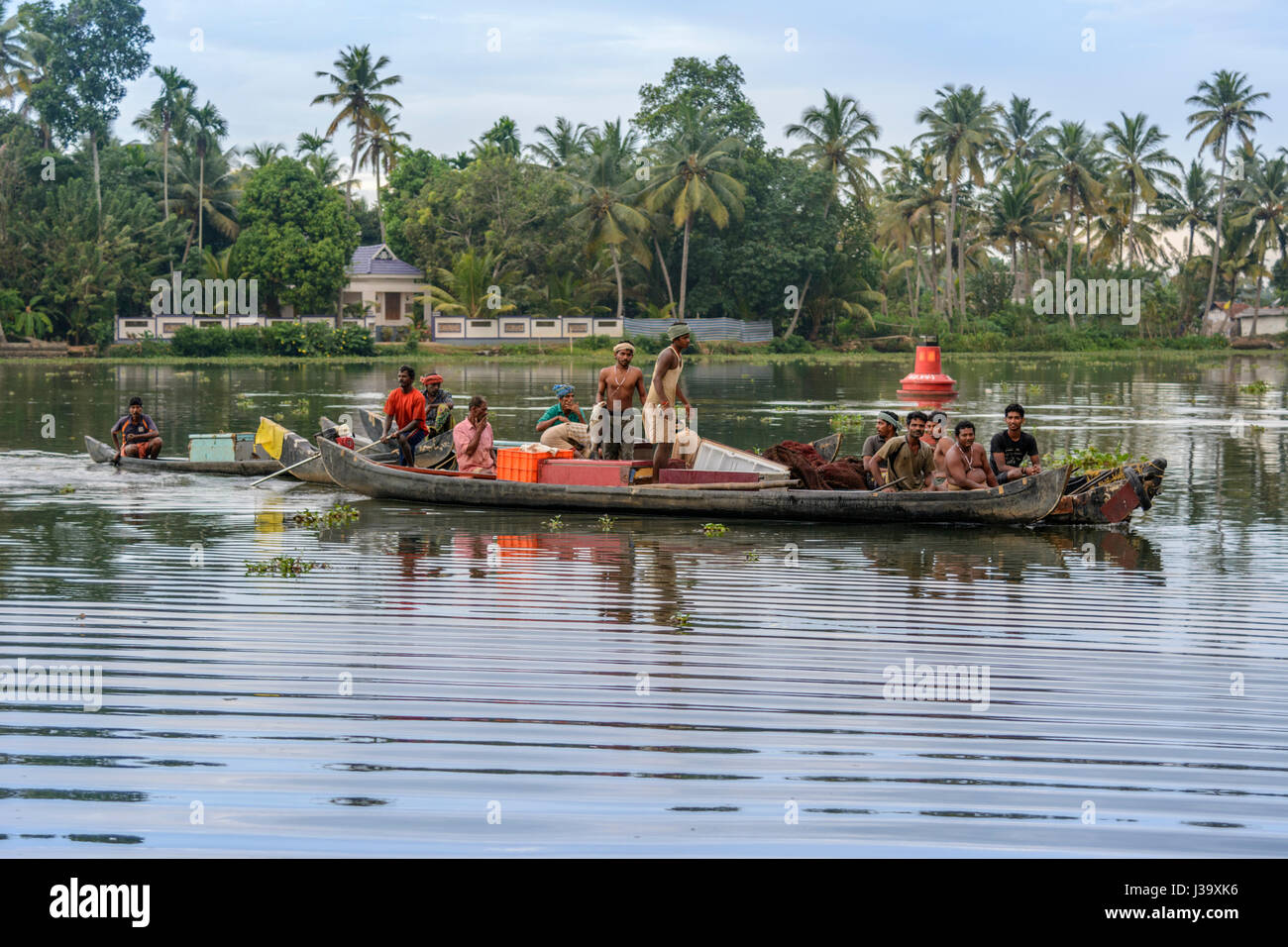Lokale Fischer kehren mit ihren Morgen Fang von Fischen auf den Backwaters von Kerala, Alappuzha Bezirk, Kerala, Süd-Indien, Südasien Stockfoto