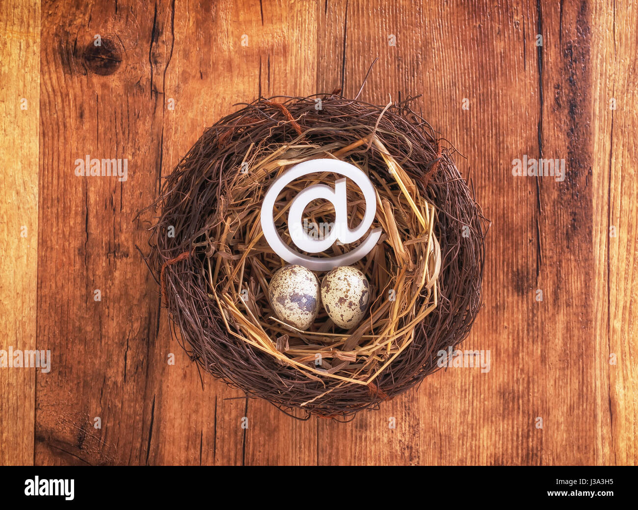 e-Mail Zeichen mit Eiern im nest Stockfoto