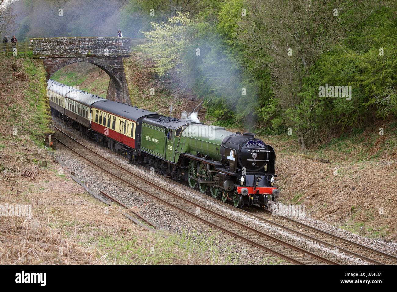 Dampflok LNER Peppercorn Klasse A1 60163 Tornado. Cowran Schnitt, Cowran schneiden, Brampton, Newcastle & Carlisle Railway, N & CR, Cumbria, England. Stockfoto
