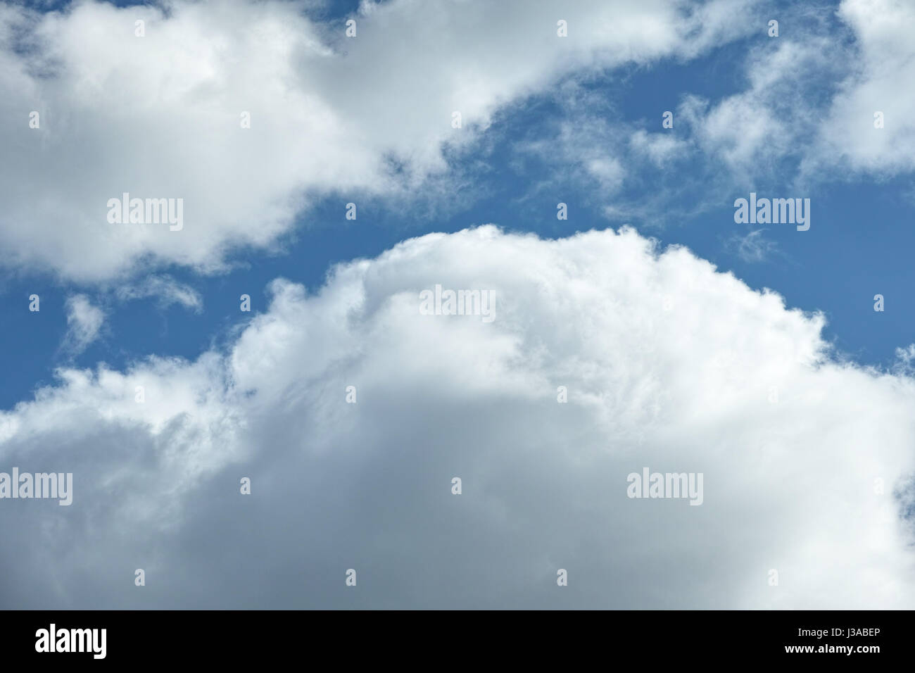 Nahaufnahme des weißen geschwollenen Wolken gegen blauen Himmel Stockfoto