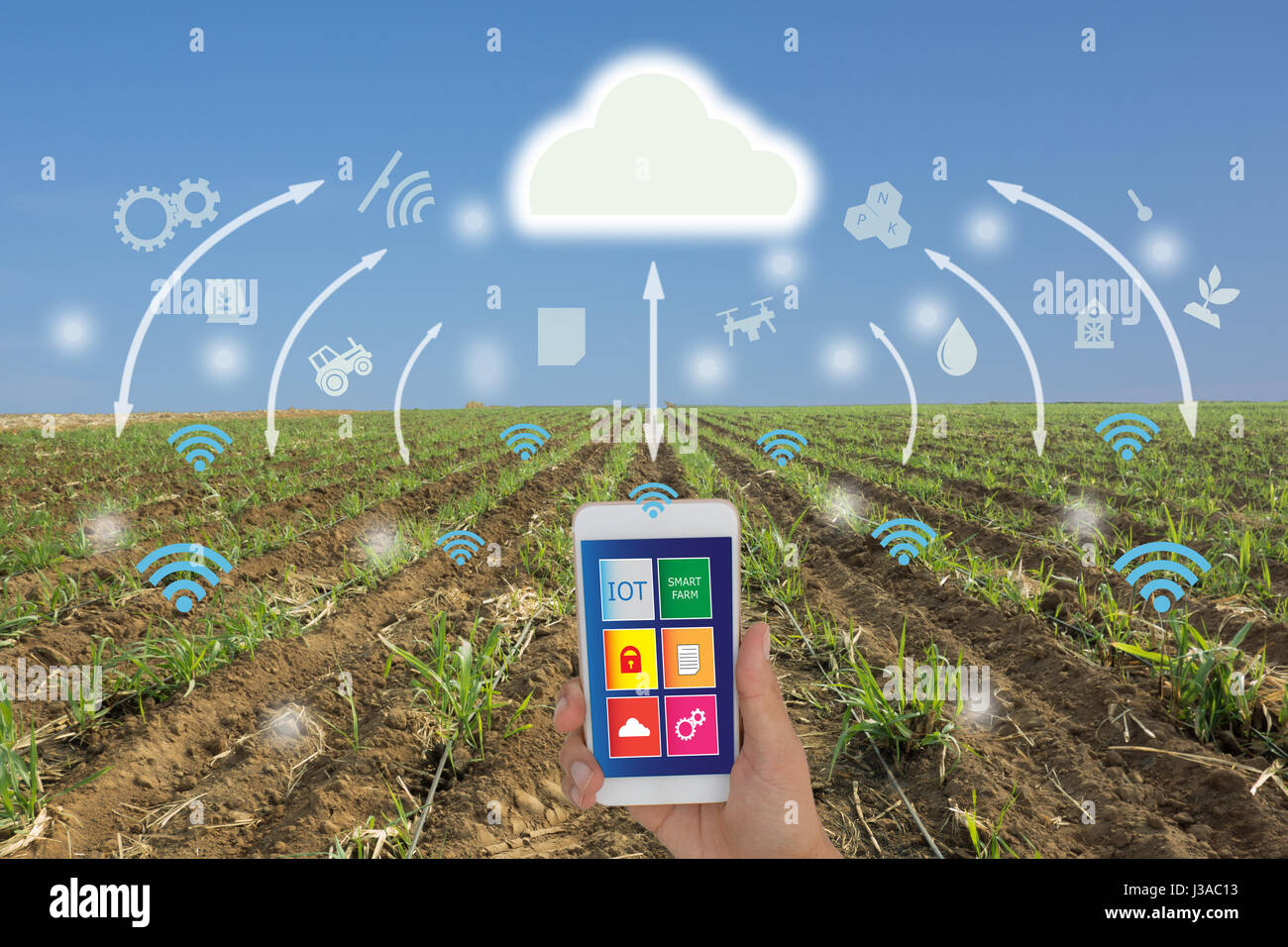 IoT, Internet der Dinge (Landwirtschaft-Konzept), smart, Landwirtschaft, industriellen Landwirtschaft. Landwirt Anwendung in Handy und augmented-Reality-Technologien Stockfoto