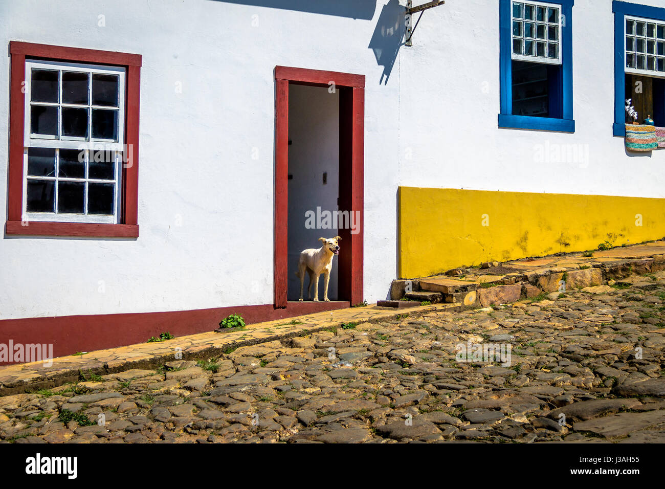 Hund vor bunten Häusern im Kolonialstil und Kopfsteinpflaster - Tiradentes, Minas Gerais, Brasilien Stockfoto
