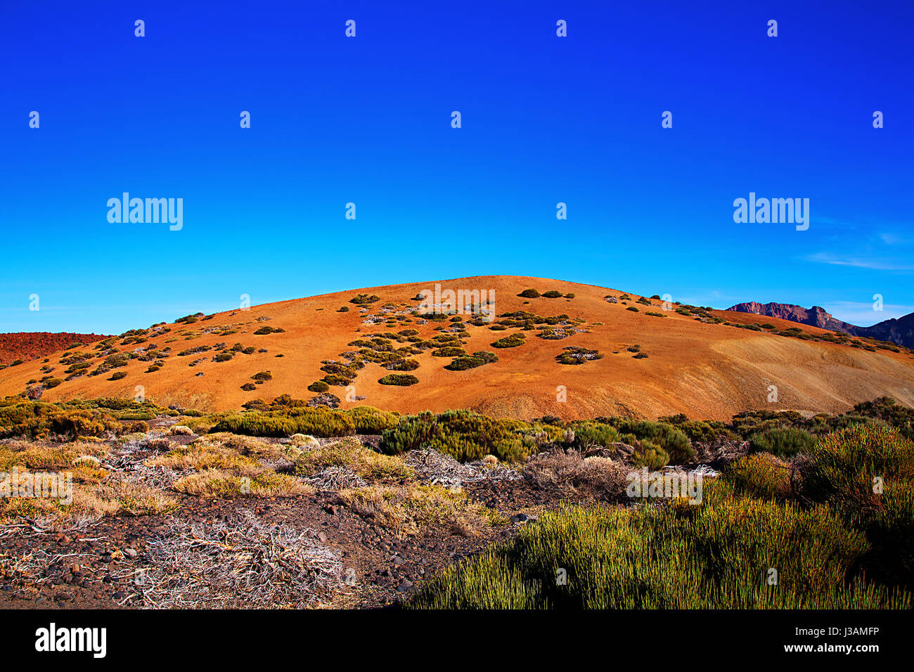 Vulkanlandschaft der Insel Teneriffa, Kanarische Inseln, Spanien. Stockfoto