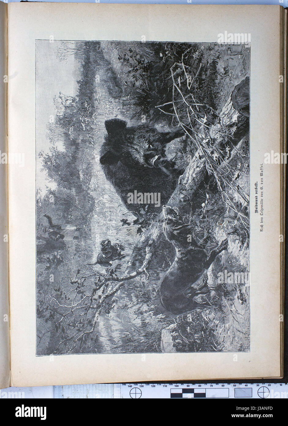 Eine weitere Ausgabe der Zeitschrift „die Gartenlaube“ aus dem Jahr 1886, die ihr Erbe als prominente Publikation aus dem 19. Jahrhundert mit Schwerpunkt Kultur, Literatur und Kunst fortsetzt. Stockfoto