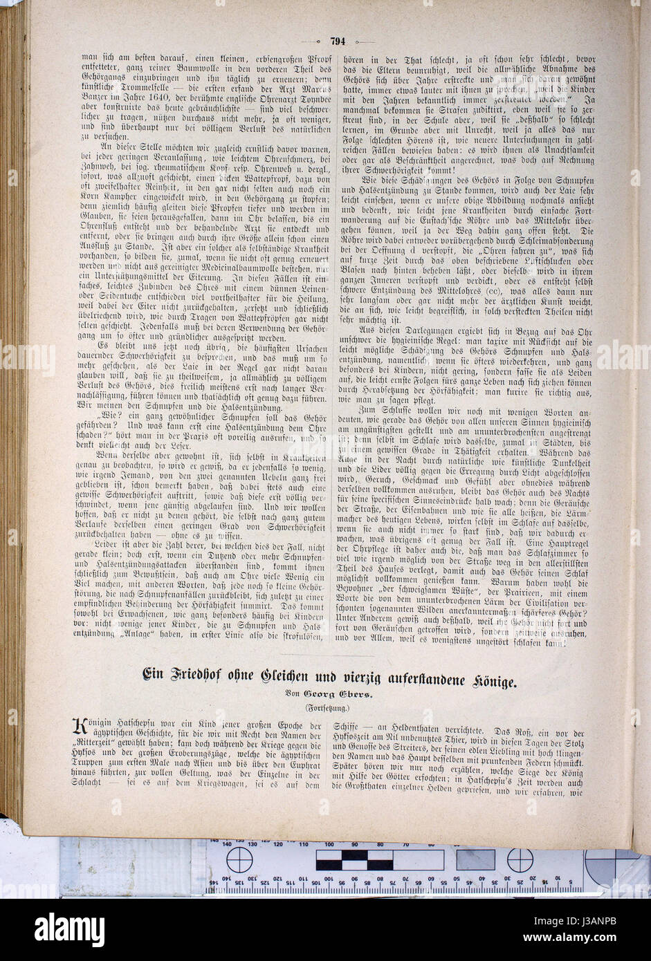Gartenlaube (1886) sterben 794 Stockfoto