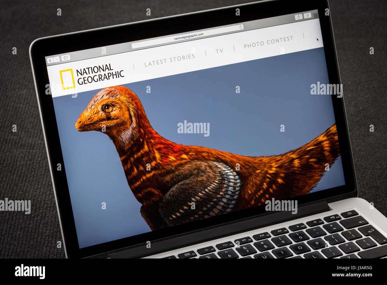 National Geographic website Stockfoto