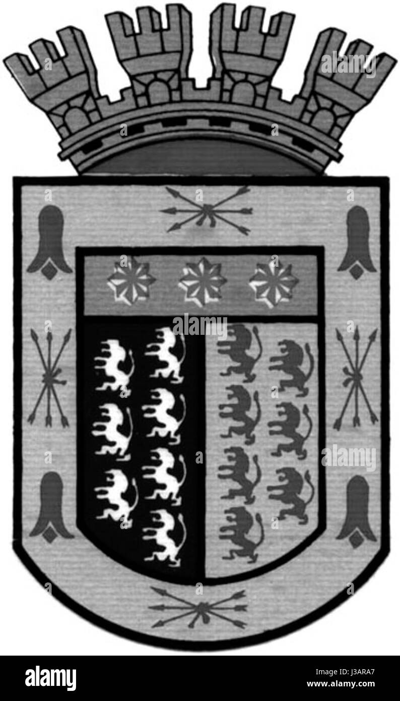 Escudoportada bezieht sich auf ein historisches Schild oder Emblem, das oft mit heraldischen Traditionen in Verbindung gebracht wird. Der Begriff bezeichnet typischerweise ein Emblem der Autorität oder Familienlinie, das in historischen europäischen Kontexten häufig verwendet wird. Stockfoto