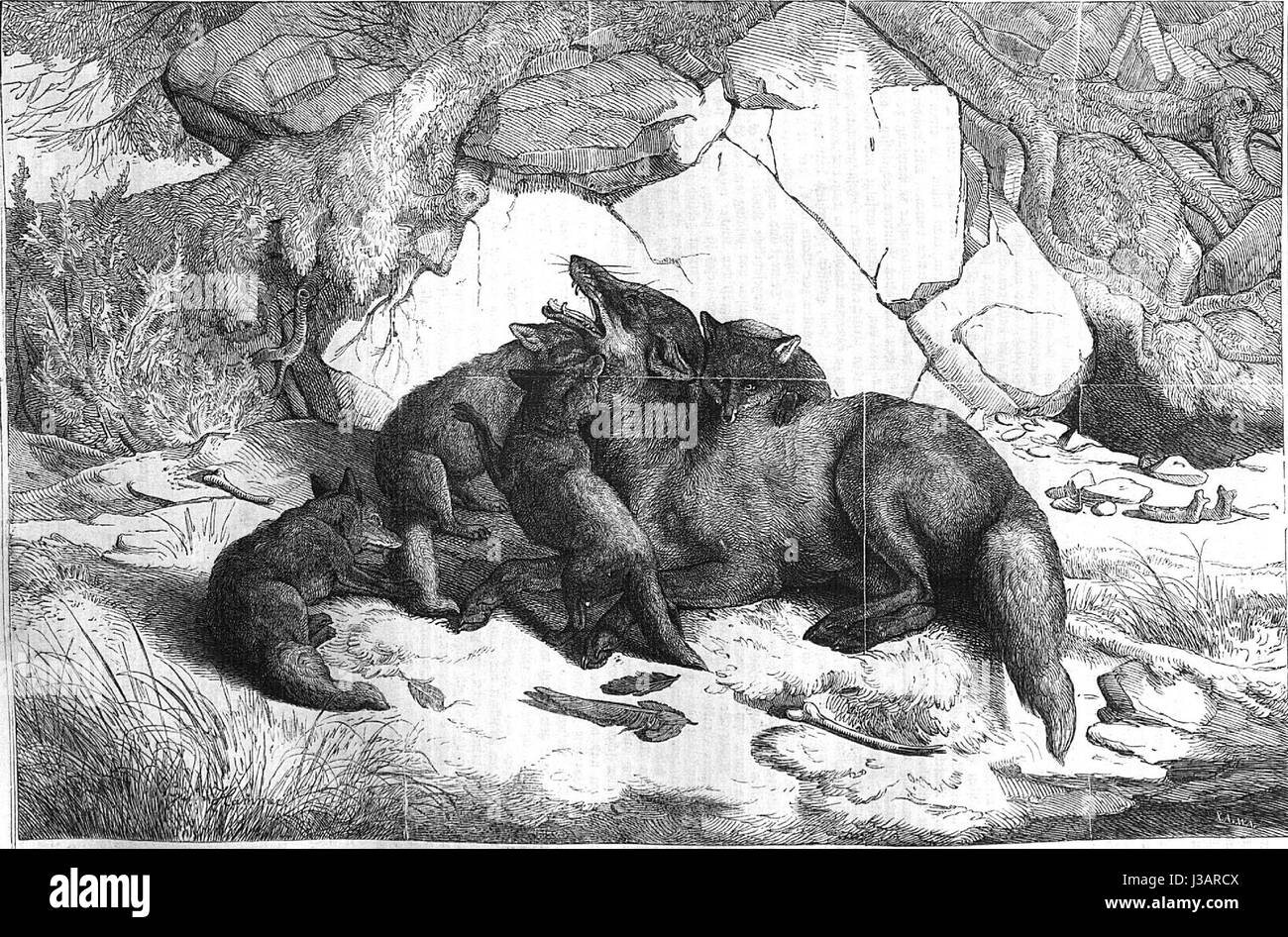 Eine Illustration aus der 1858 erschienenen Ausgabe von „die Gartenlaube“, einer deutschen Illustrationszeitschrift, in der Kunst, Kultur und soziale Themen der damaligen Zeit vorgestellt werden. Stockfoto