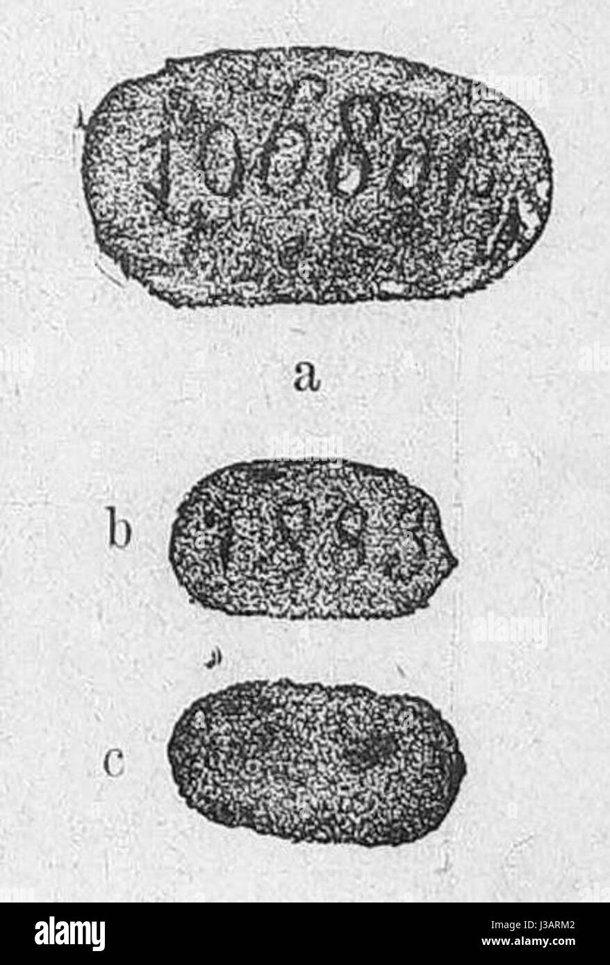 Gartenlaube (1884) b 746 sterben Stockfoto