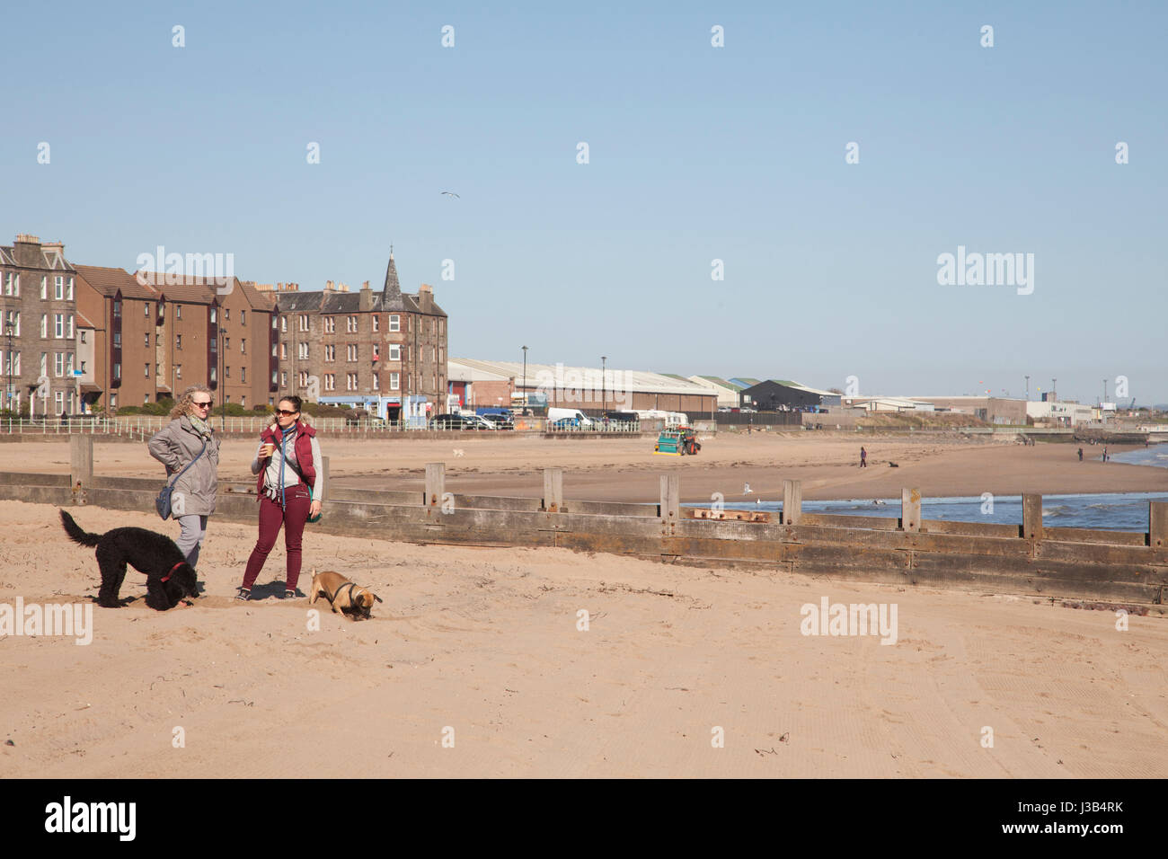 Portobello Beach, Edinburgh, UK. 5. Mai 2017. Zwei Frauen stehen mit Kaffee. Mit Hunden um Playning am sandigen Strand von Portobello, Edinburgh, Schottland, Großbritannien. Wetter: 5. Mai 2017 wird es ein schöner trockener Tag mit langen sonnigen Abschnitten für den Großteil der Region, nur die Chance auf einige Wolken drängen in Berwickshire und East Lothian sein. Warm im Landesinneren, West. Moderate Ostwinden.  Heute Abend klar in Dumfries und Galloway. Einige niedrige Wolken bilden sich über Nacht über die Lothians und östlichen Grenzen. Kühl im Inland mit einem Hauch von Frost im Tierheim. Bildnachweis: Gabriela Antosova/Alamy Live-Nachrichten Stockfoto