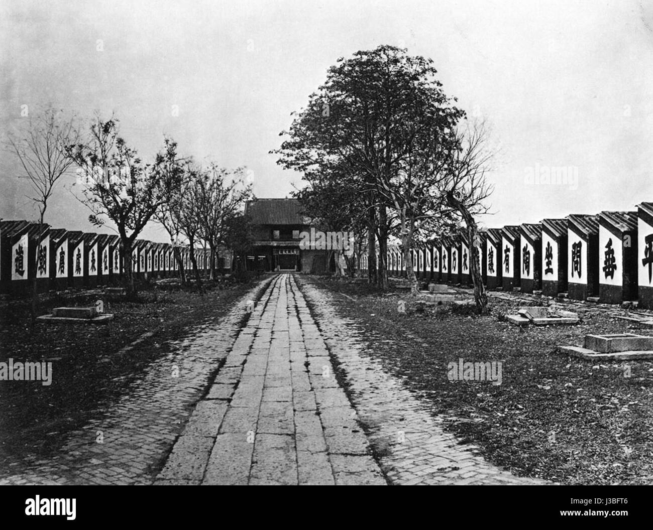 Prüfung-Zellen große Stockfoto