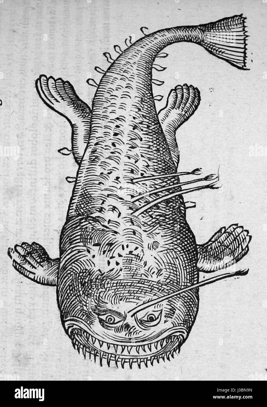 Diable marin bezieht sich auf einen Begriff, der für einen Meeresteufel verwendet wird, eine Art von Meeresbewohnern oder mythologischen Wesen, die oft in Folklore und Kunst dargestellt werden und die unbekannten oder gefährlichen Meeresbewohner darstellen. Stockfoto
