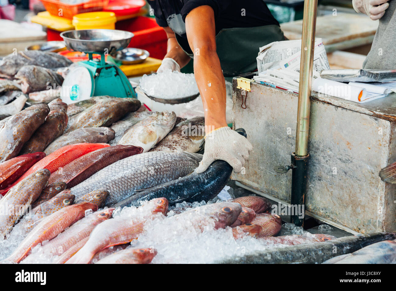 GEORGE TOWN, MALAYSIA - März 23: Mann bereiten Fisch zum Verkauf an den nassen Markt von Penang am 23. März 2016 in George Town, Malaysia. Stockfoto