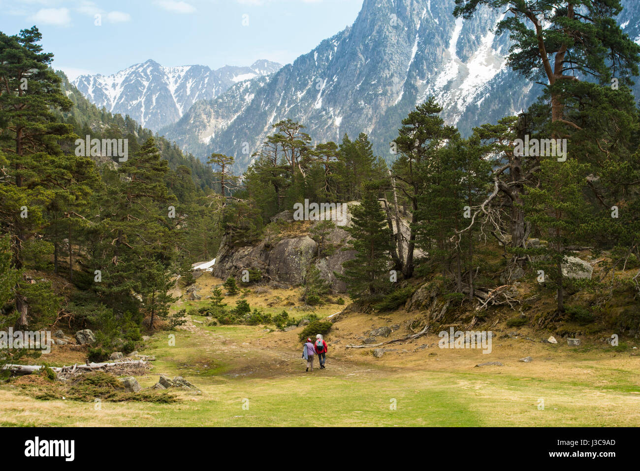 Frankreich, Hautes-Pyrenäen, Cauterets, Stream zwischen Cauterets und Pont d ' Espagne, Parc National des Pyrenäen (Pyrenäen-Nationalpark) Stockfoto