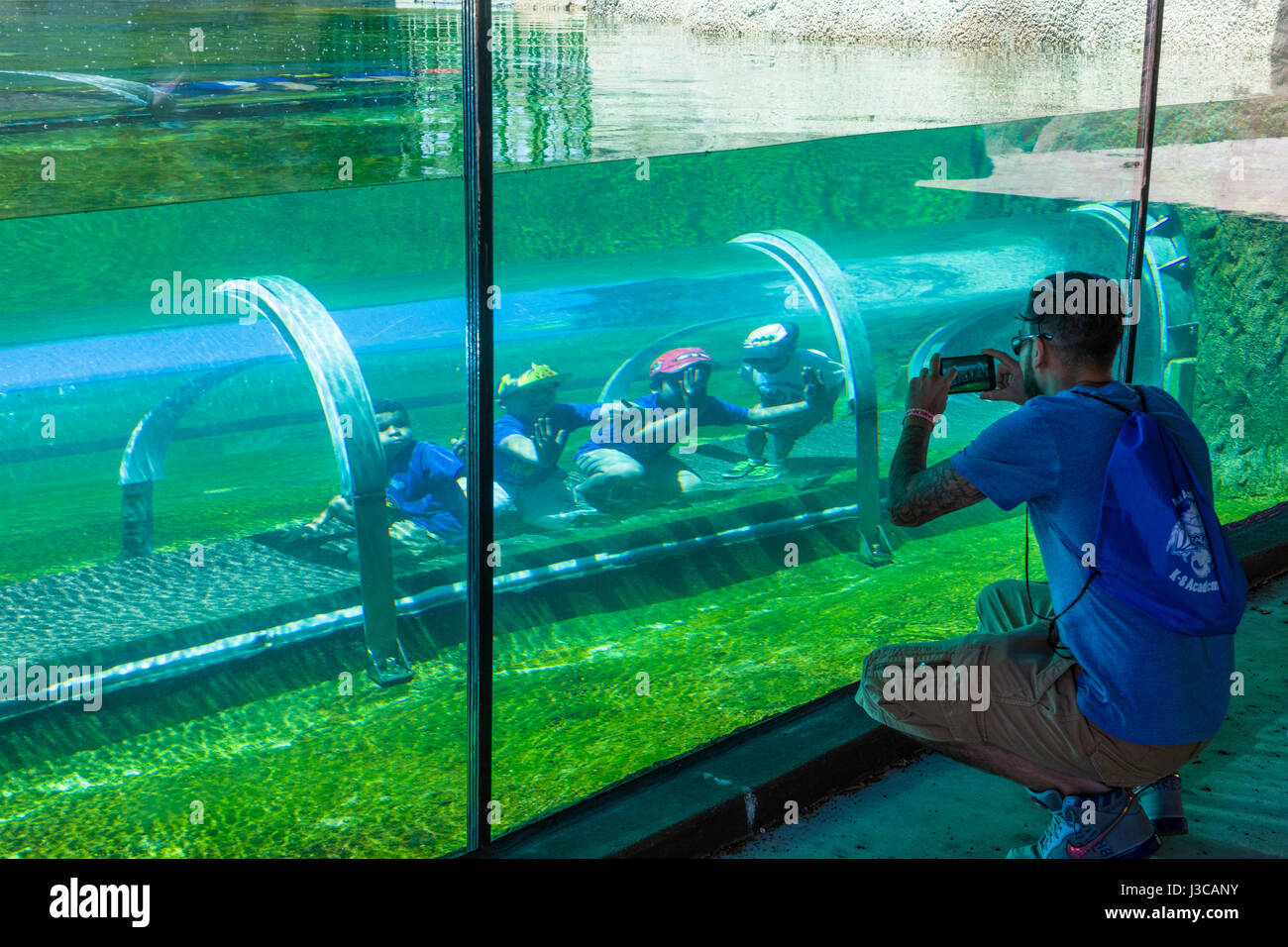 Kinder in Crawl durch "Tunnel" im Krokodil Habitat im Abschnitt Mission