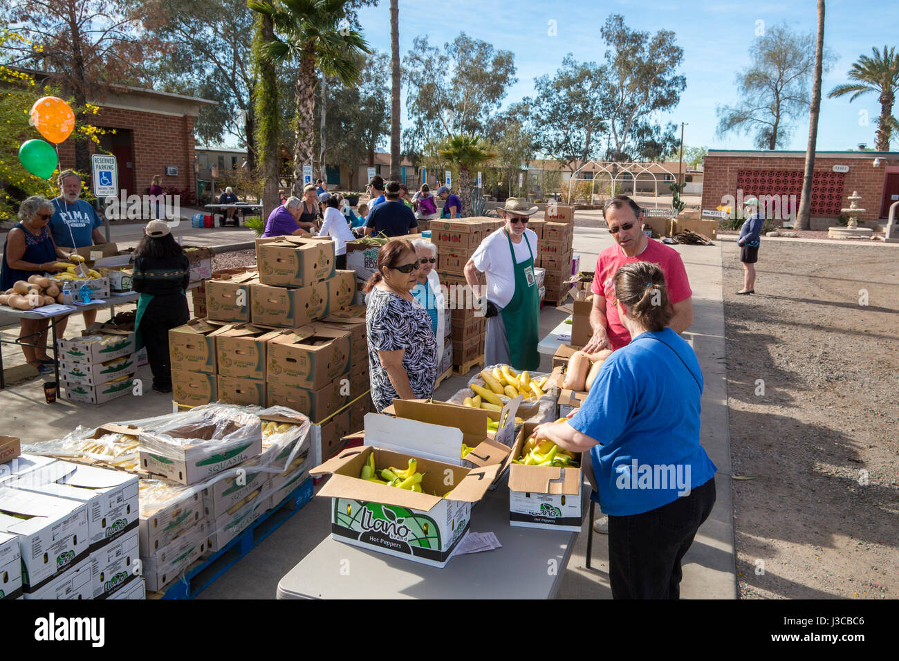 Marana, Arizona - Freiwillige aus katholischen Pfarrei St. Christpher vertreiben Produkte von Borderlands Food Bank zur Verfügung gestellt. Die Lebensmittelbank rettet 30 bis Stockfoto