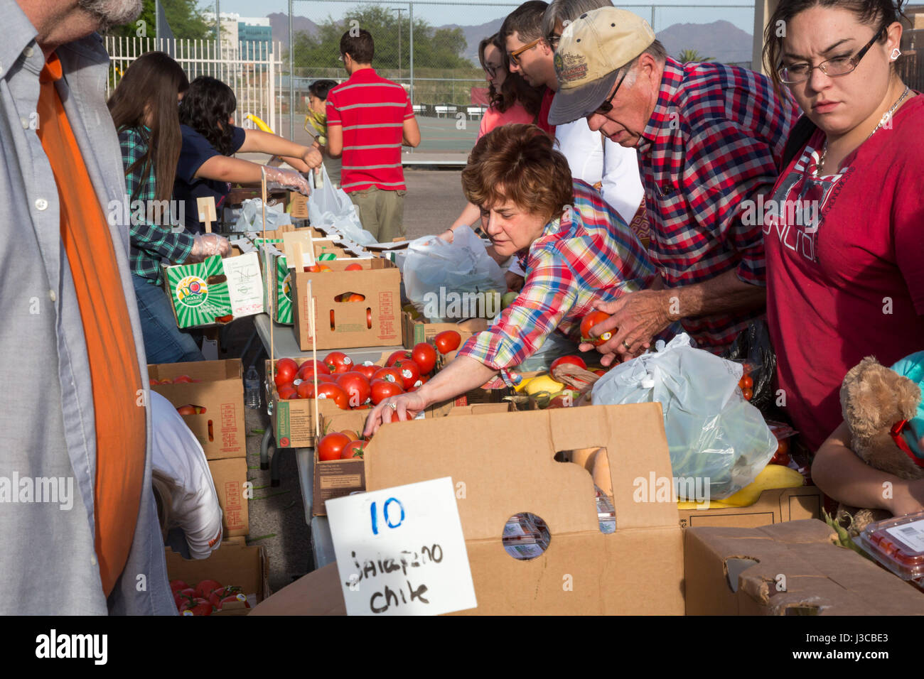 Tucson, Arizona - Freiwilligen Studenten an der High School in Tucson vertreiben Produkte von Borderlands Food Bank zur Verfügung gestellt. Die Lebensmittelbank rettet 30 bis 40 Stockfoto