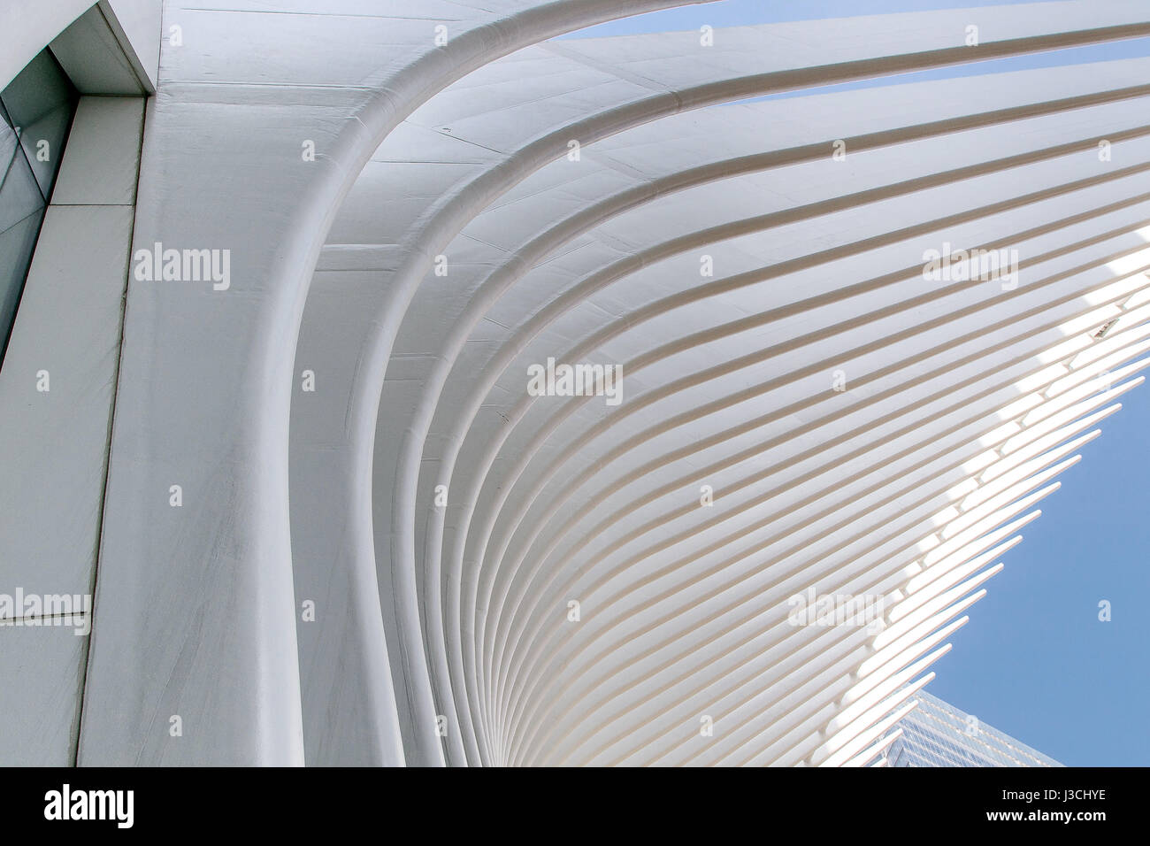 Nahaufnahme des Oculus - World Trade Center Verkehrsknotenpunkt, in Lower Manhattan liegt. Stockfoto