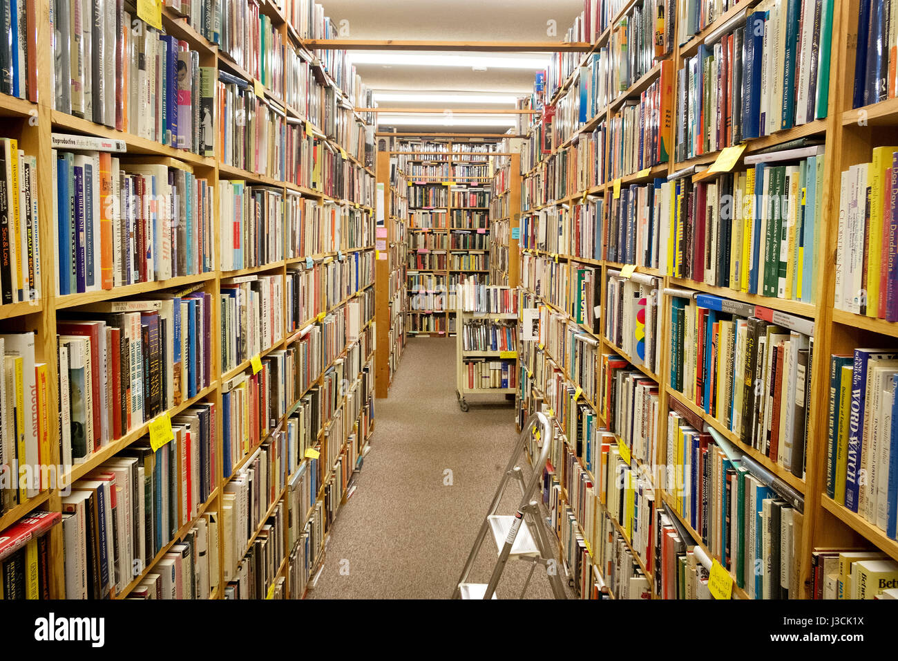 Bücherregale in Henderson Bücher, ein Antiquariat in Bellingham, Washington State, USA. Stockfoto