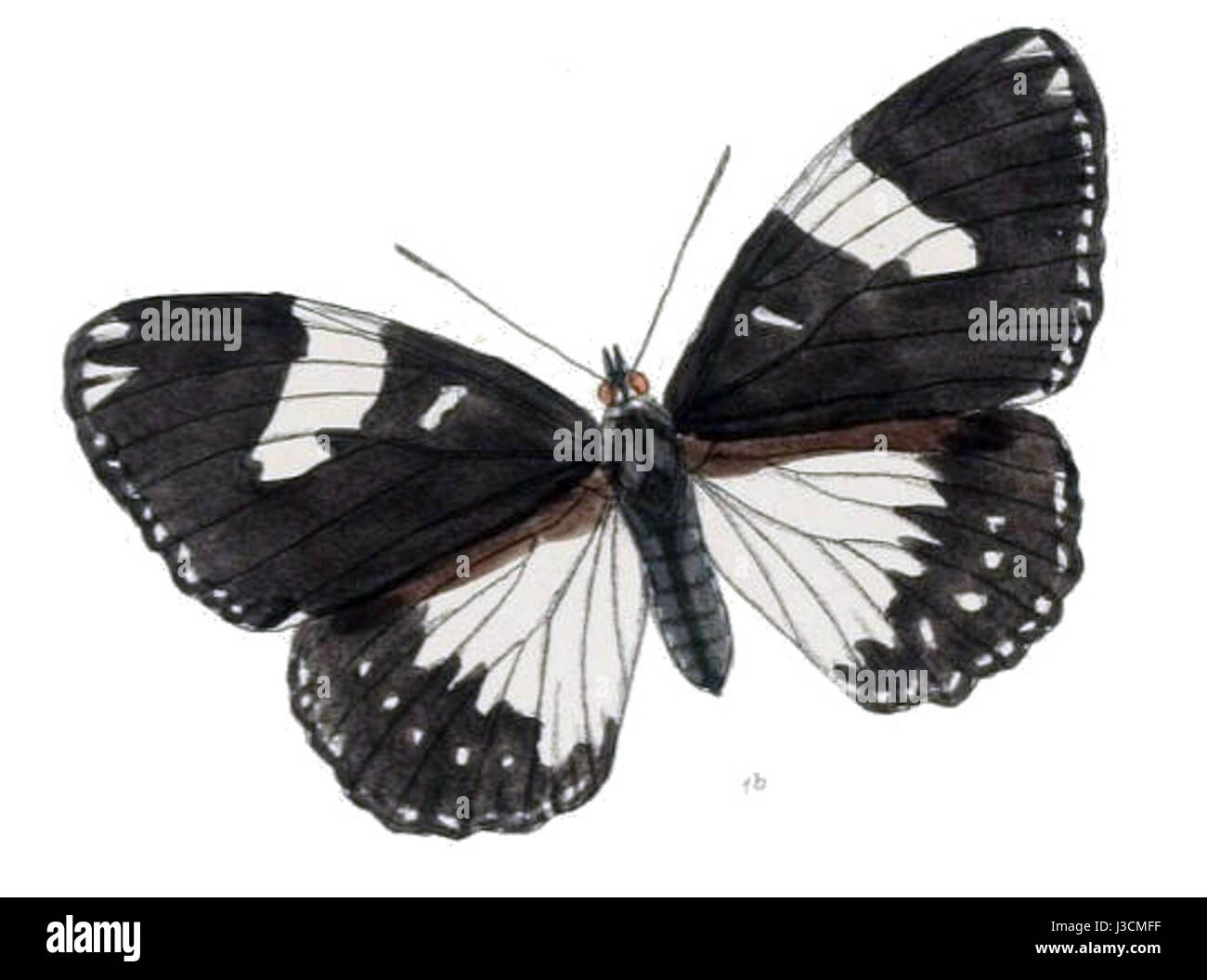 Dieser Titel bezieht sich wahrscheinlich auf einen klassischen oder antiken Text oder ein Artefakt, der möglicherweise mit Euripus oder Halitherses, Figuren in der griechischen oder römischen Mythologie oder Literatur zusammenhängt und wahrscheinlich auf einen bestimmten Teil oder eine bestimmte Ausgabe des Werks verweist. Stockfoto