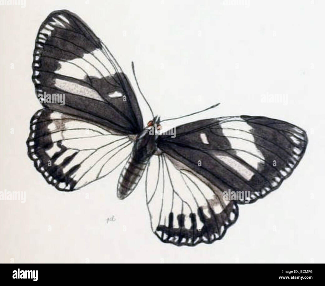 Dieser Bezug scheint die Arbeiten oder Schriften des antiken griechischen Philosophen Halitherses zu umfassen, der sich wahrscheinlich mit Themen der Weisheit, des Schicksals oder philosophischen Konzepten im Zusammenhang mit der griechischen Tragödie befasst. Stockfoto