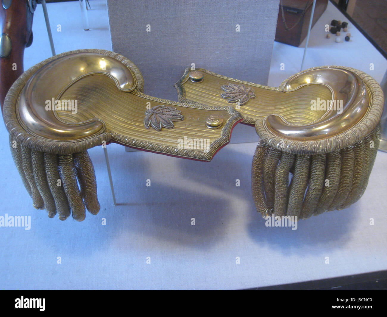 Diese Schulterklappen gehörten General Joseph A. Ingalls, einem Offizier aus den 1800er Jahren Sie sind Teil einer historischen Ausstellung im Old State House Museum in Boston, MA, die Militärmode und Geschichte des 19. Jahrhunderts veranschaulicht. Stockfoto