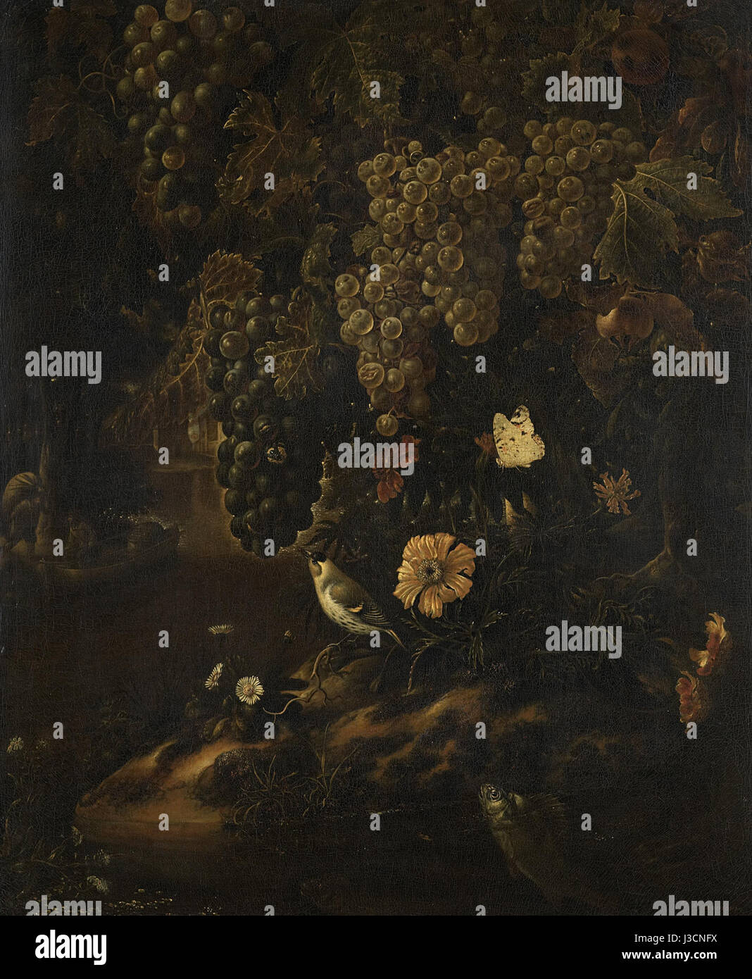 Druiven, Bloemen En Dieren Rijksmuseum SK pro 2530 Stockfoto