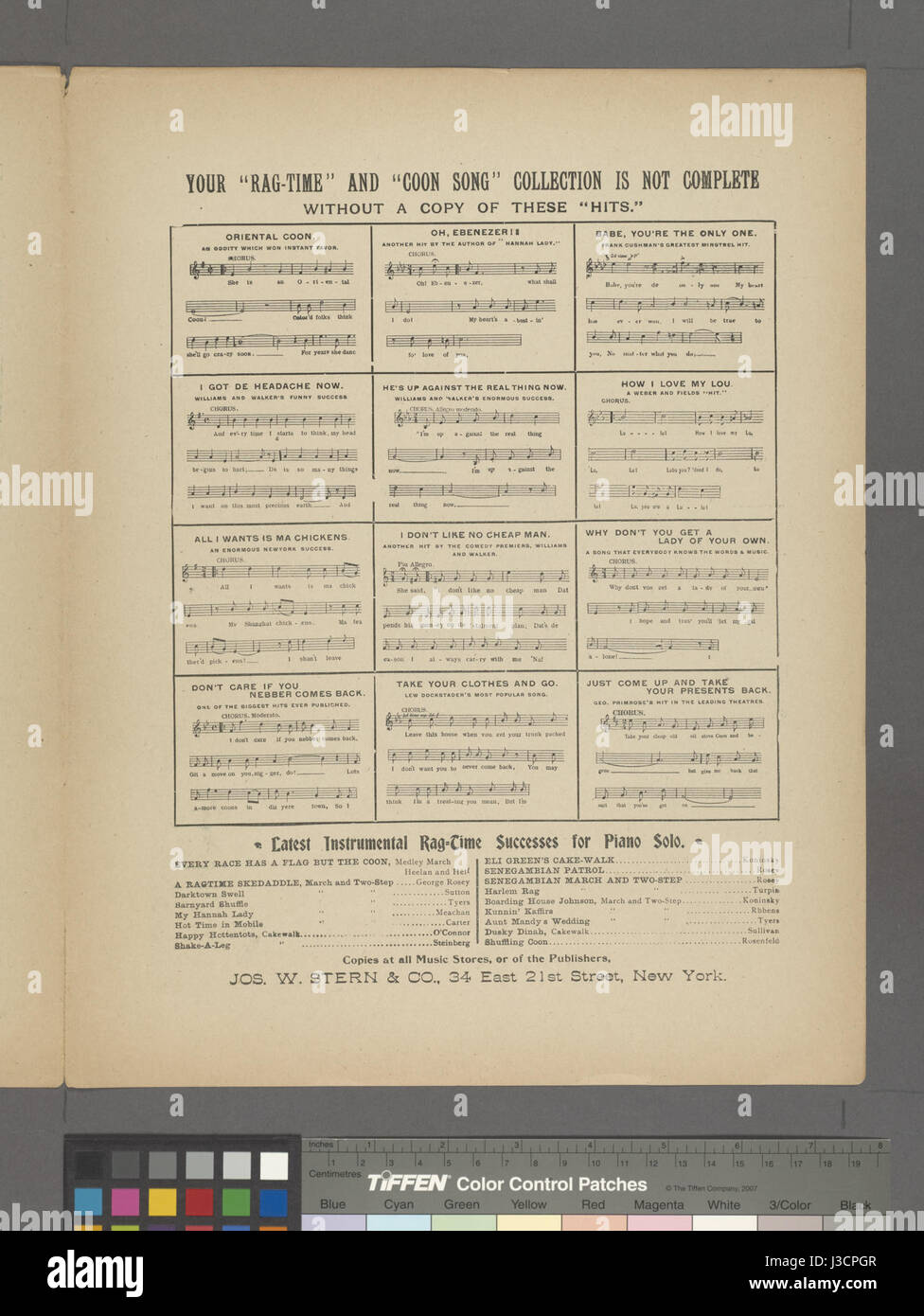 Dieser Titel kann sich auf ein Werk oder Projekt beziehen, das in der New York Public Library katalogisiert ist und ein Pfeifmotiv enthält, das möglicherweise mit einer bestimmten Sammlung oder einem bestimmten Thema verknüpft ist. Stockfoto