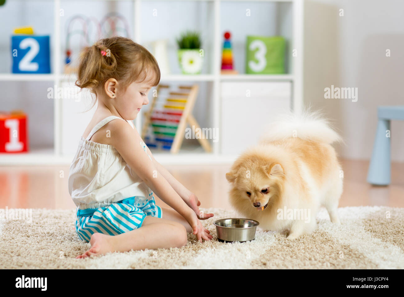 Kind füttern Hund Stockfoto