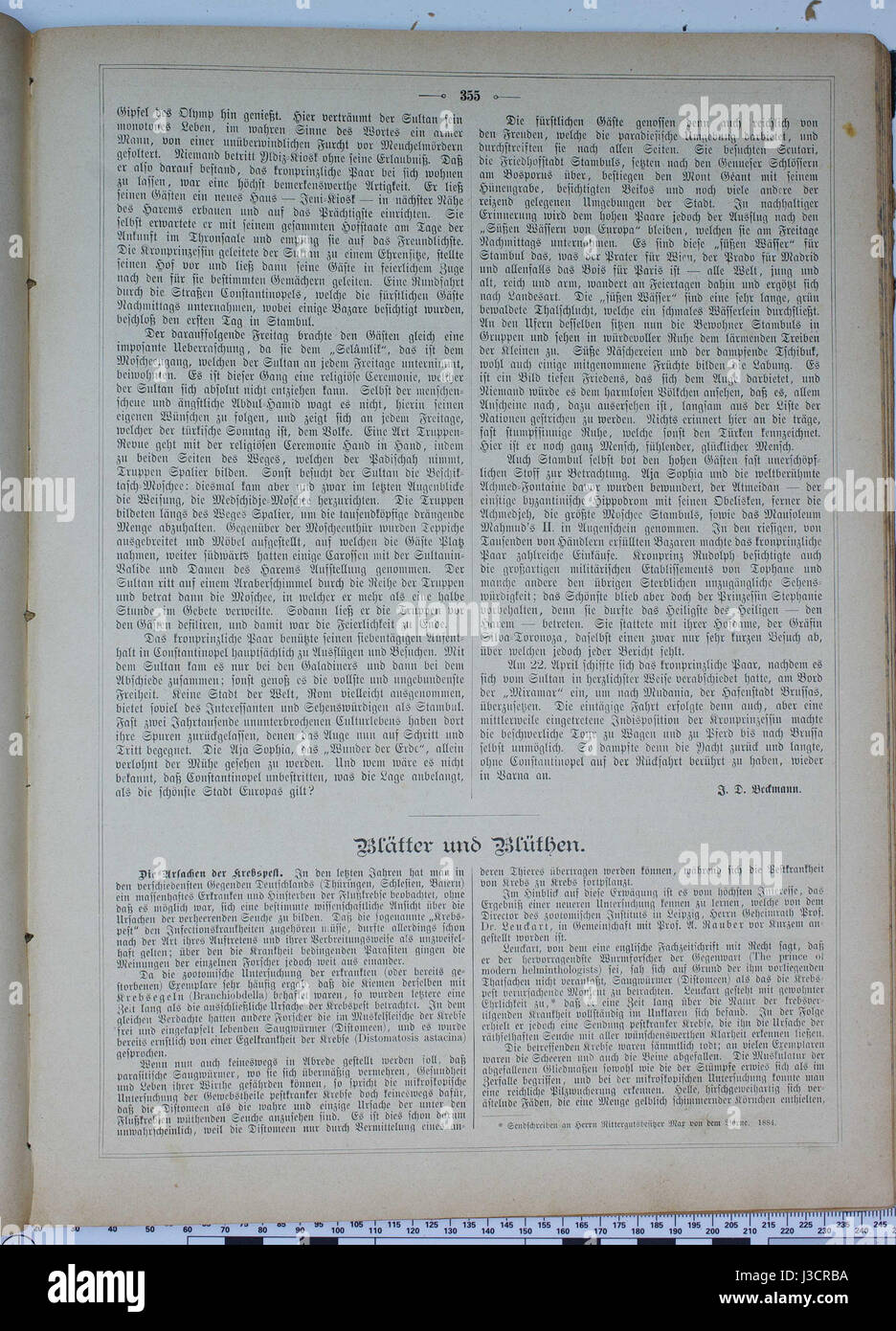 Gartenlaube (1884) sterben 355 Stockfoto