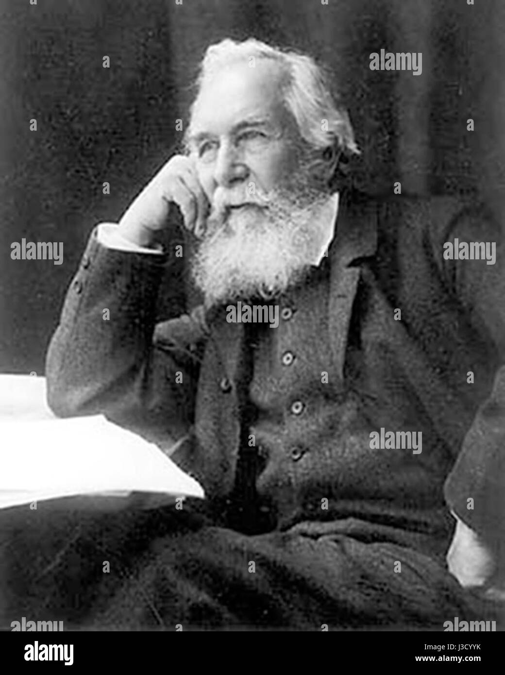 Ernst Haeckel 2 Stockfoto