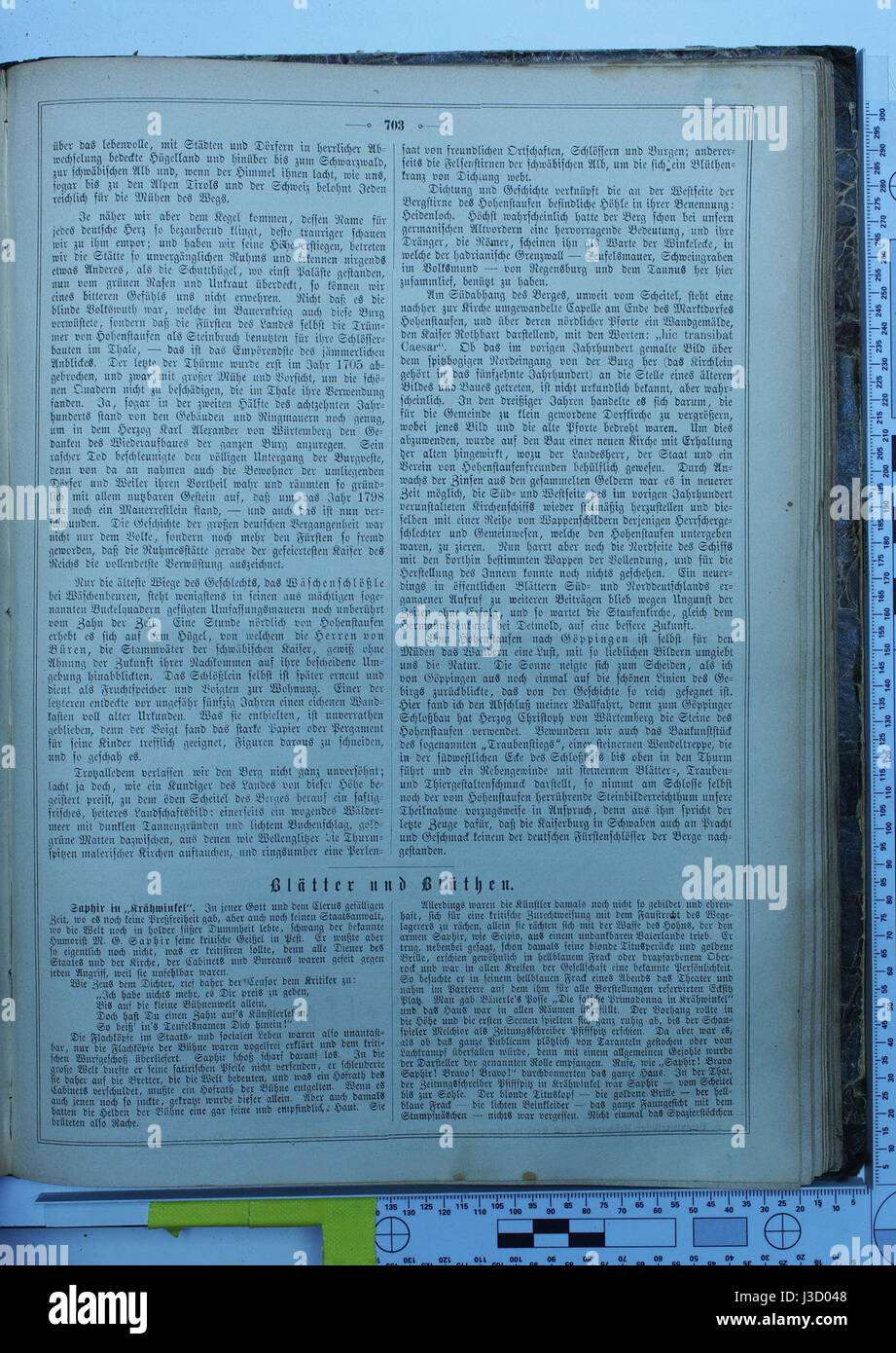 Die Gartenlaube, eine populäre deutsche Illustrationszeitschrift aus dem Jahr 1867, zeigt Inhalte zu Kunst, Kultur, Literatur und Gesellschaft und bietet einen Einblick in das deutsche Leben des 19. Jahrhunderts. Stockfoto