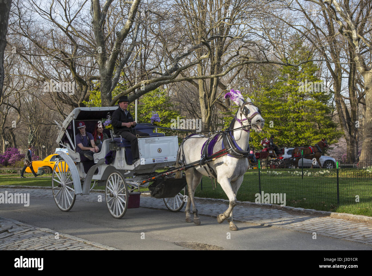 Touristen nehmen eine romantische Pferdekutsche Fahrt im Frühjahr durch den  Central Park in Manhattan, New York City Stockfotografie - Alamy