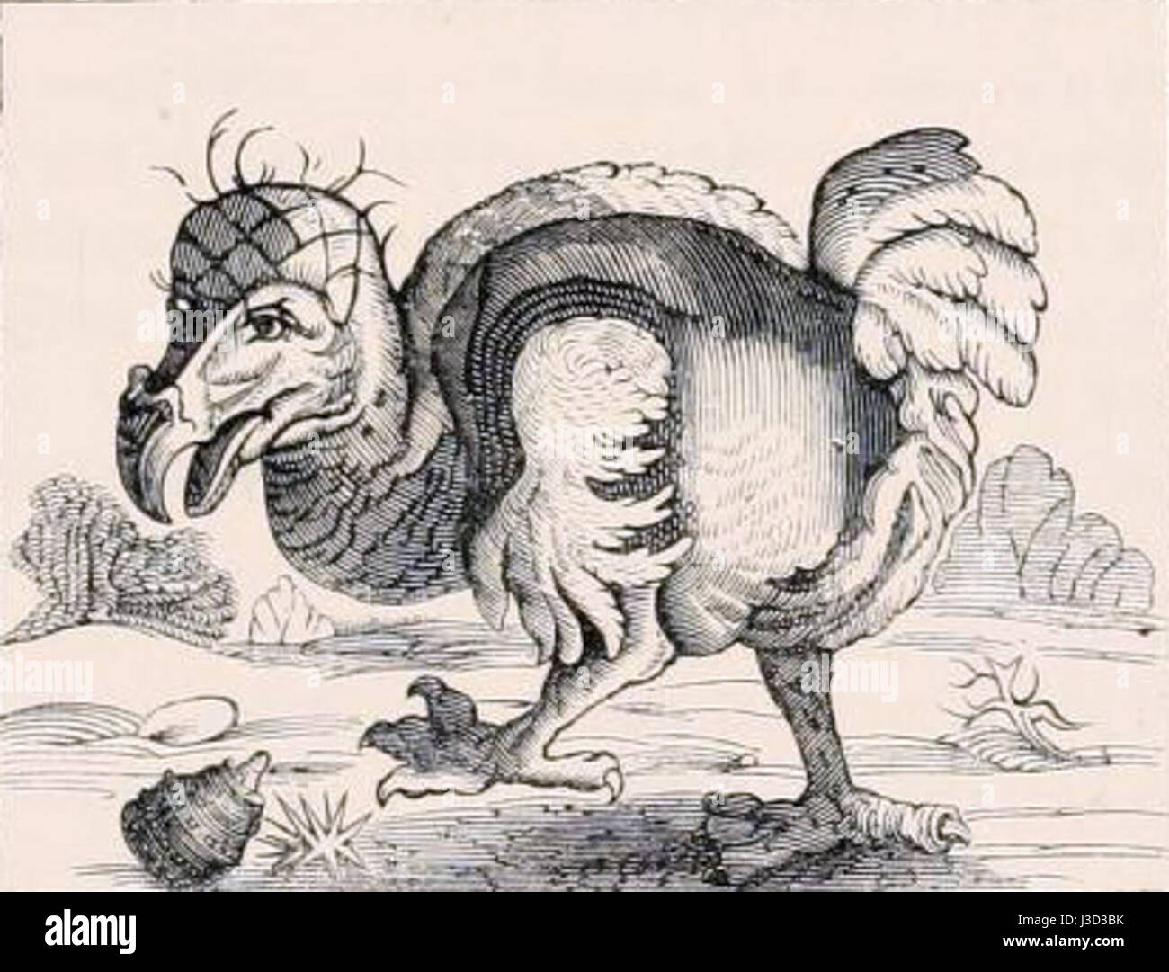 Ein Verweis auf das Werk von Dodo Bontekoe, bekannt für seine Beiträge zur niederländischen Kunst im 17. Jahrhundert, zeigt seinen unverwechselbaren Stil in der Malerei. Stockfoto