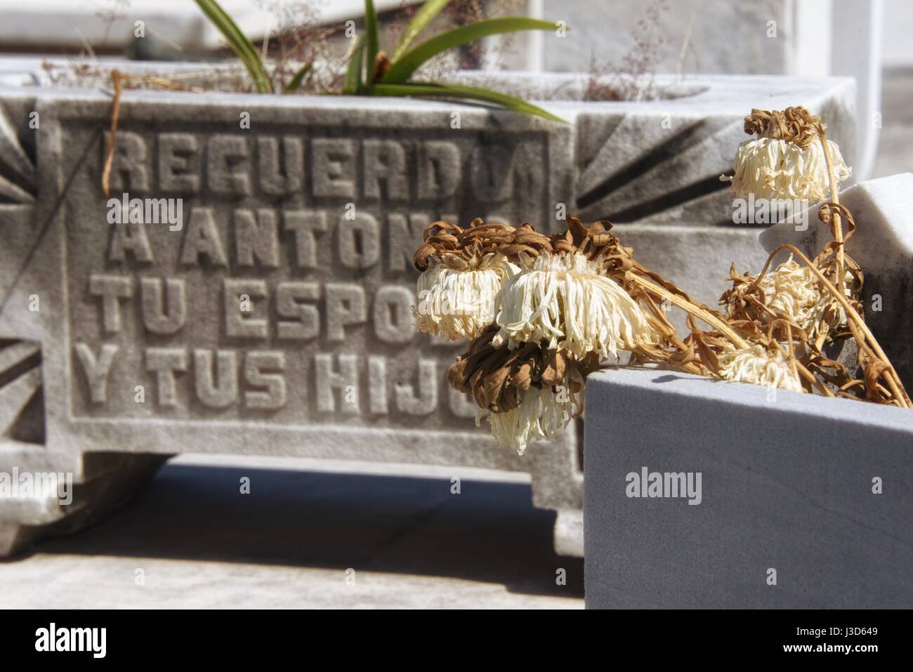 Der Doppelpunkt Friedhof oder der Cementerio de Cristóbal Colón wurde 1876 im Stadtteil Vedado Havanna Kuba gegründet. Stockfoto