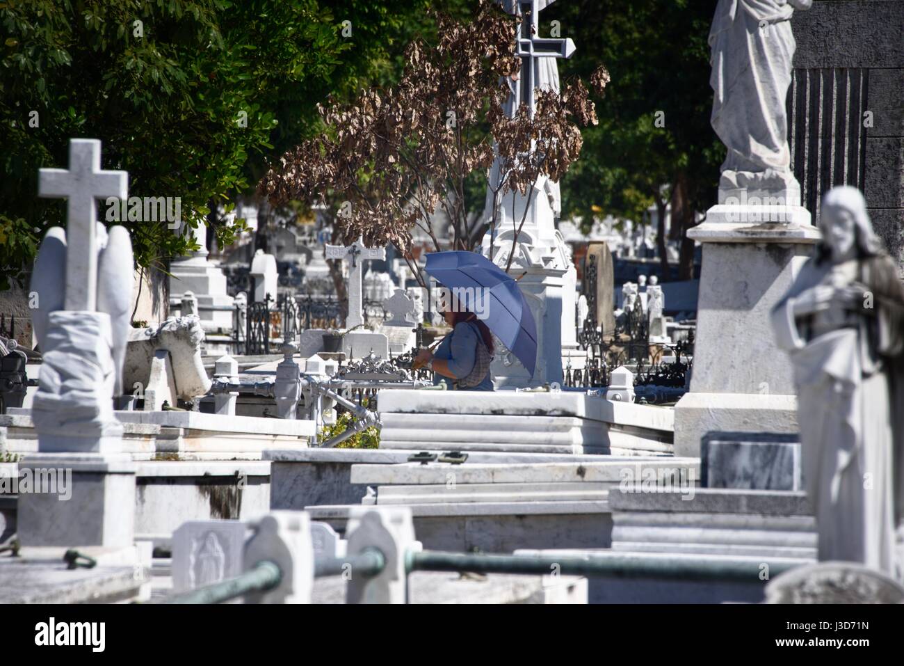 Der Doppelpunkt Friedhof oder der Cementerio de Cristóbal Colón wurde 1876 im Stadtteil Vedado Havanna Kuba gegründet. Stockfoto