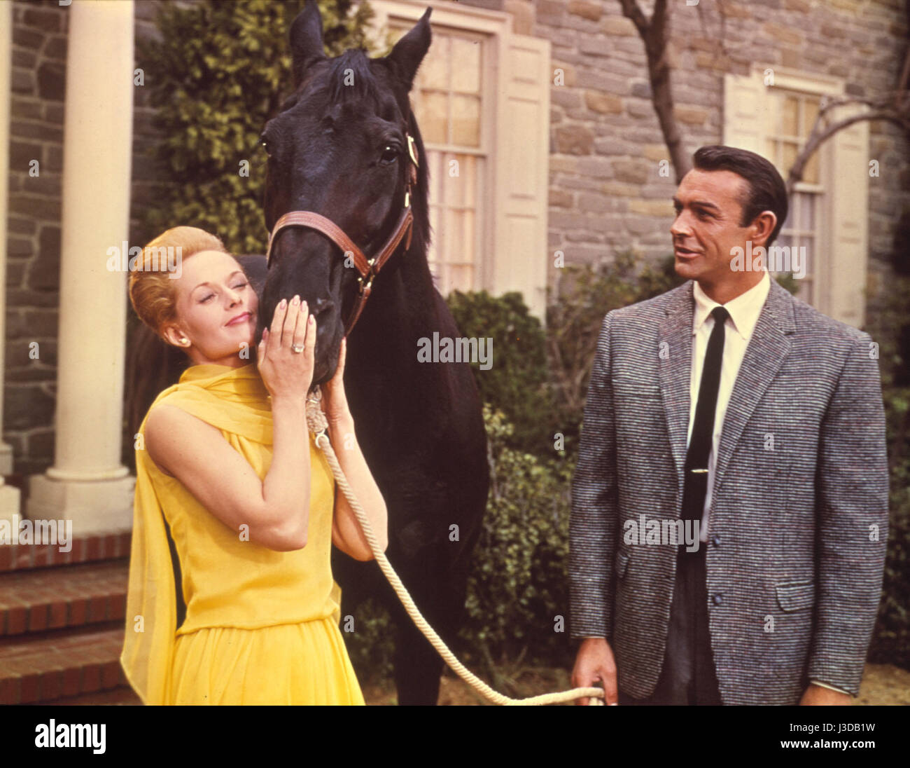 Marnie Baujahr: 1964 USA Tippi Hedren, Sean Connery Regie: Alfred Hitchcock Stockfoto