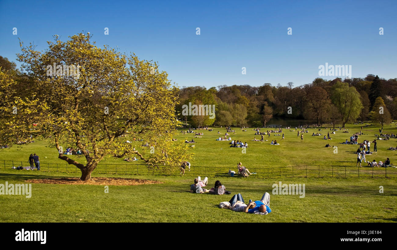 Kenwood Gärten, Highgate, London Stockfoto